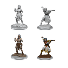 PF UNPAINTED MINIS WV21 HALF-ELF MONK FEMALES